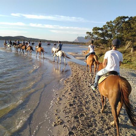 Appartamento Sette Posti Vicino Al Centro Di San Teodoro San Teodoro  Zewnętrze zdjęcie