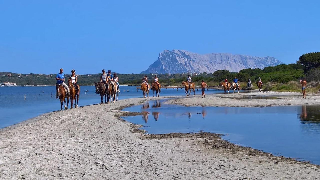Appartamento Sette Posti Vicino Al Centro Di San Teodoro San Teodoro  Zewnętrze zdjęcie