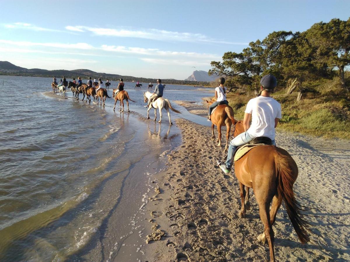 Appartamento Sette Posti Vicino Al Centro Di San Teodoro San Teodoro  Zewnętrze zdjęcie